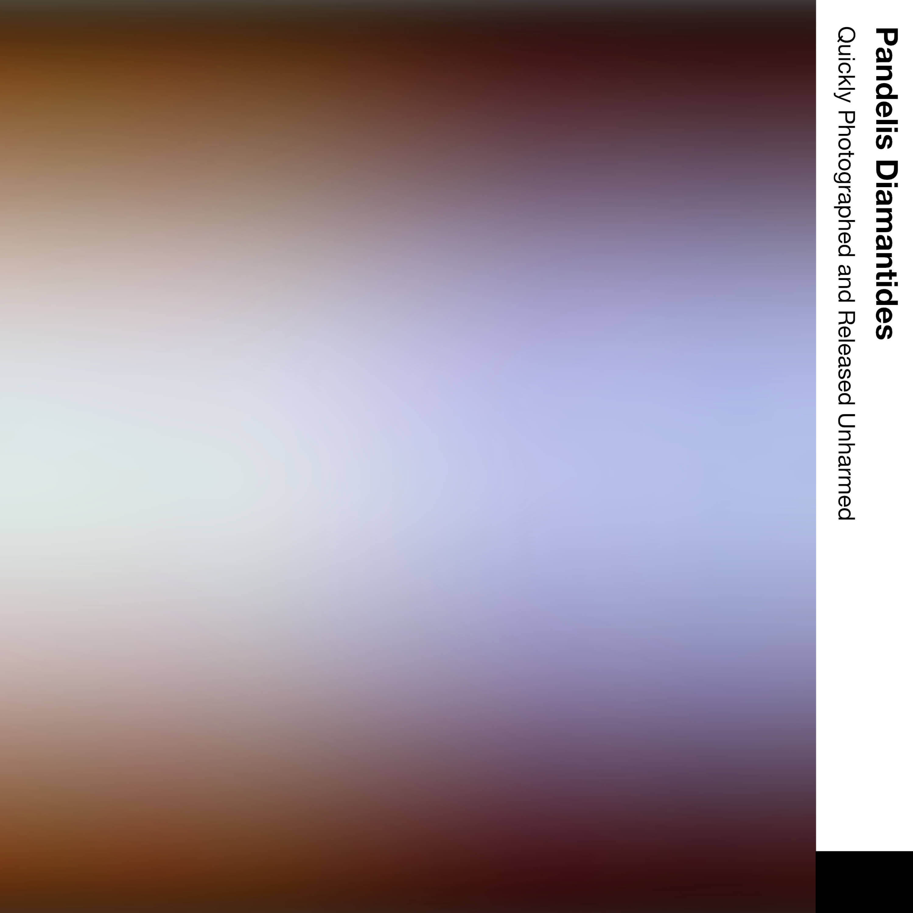 Quickly Photographed and Released Unharmed 