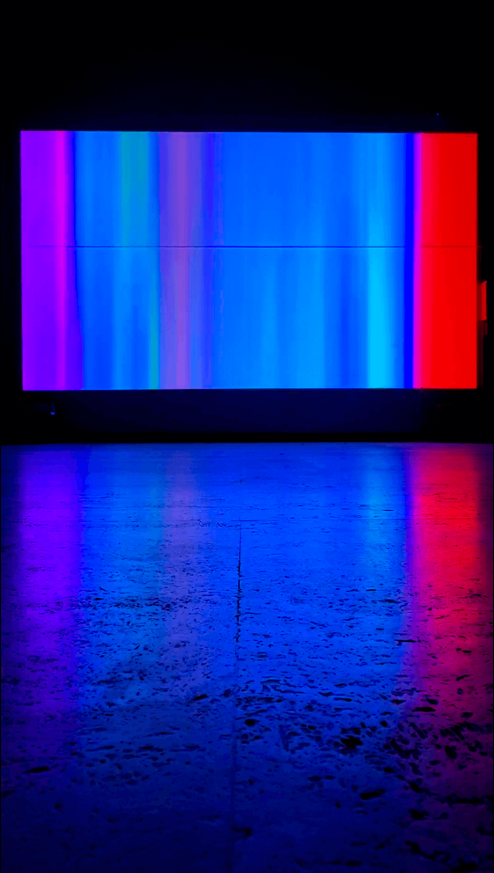 Quickly Photographed and Released Unharmed - Light Art Installation (2023 - 24)